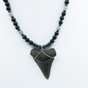 Great White Fossil Shark Tooth Necklace