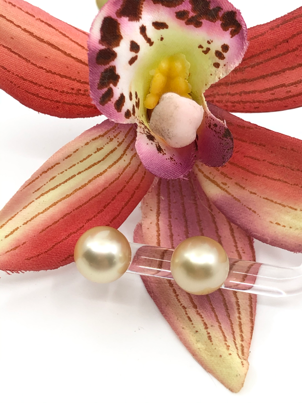 Gold South Sea Studs